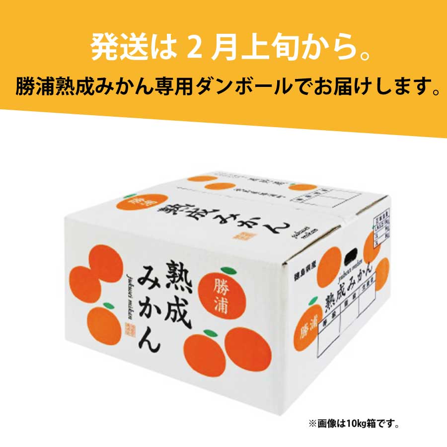 JA東とくしま 勝浦熟成みかん 10kg M-Lサイズ 秀品