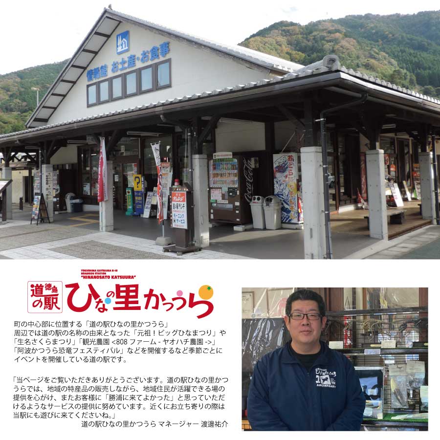 勝浦みかんシロップ みかんミカンmikan 3本