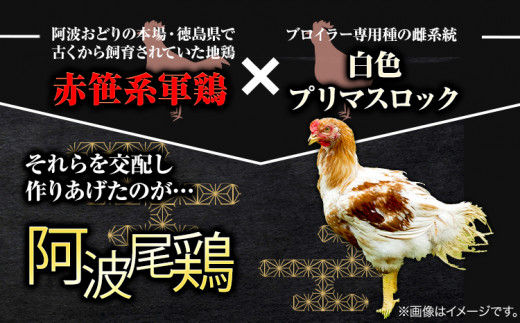 阿波尾鶏 骨付き もも肉 3本入り × 2パック 計2kg 岸農園  《30日以内に出荷予定(土日祝除く)》｜ 鶏肉 もも肉 骨付鳥 阿波尾鶏 地鶏 ローストチキン チキンレッグ アウトドア キャンプ 冷凍 もも 肉 送料無料