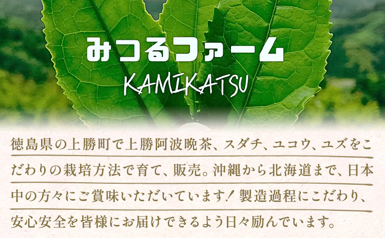 上勝阿波阿波 晩茶 ティーバッグ みつるファーム 《30日以内に出荷予定(土日祝除く)》徳島県 上勝町 飲み物 飲料 お茶 晩茶 上勝晩茶 阿波晩茶 乳酸菌 発酵茶 後発酵茶 阿波番茶 送料無料