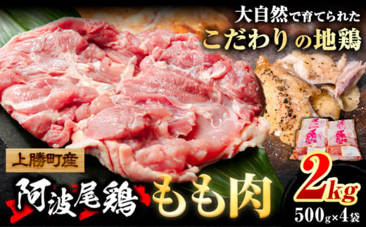 阿波尾鶏 鶏肉 もも肉 500g × 4パック 計2kg 岸農園 《30日以内に出荷予定(土日祝除く)》｜ 鶏肉 もも肉 お肉 鳥肉 とり肉 阿波尾鶏 地鶏 大容量 小分け 国産 徳島県産 唐揚げ から揚げ からあげ アウトドア キャンプ 冷凍 もも 肉 便利 送料無料