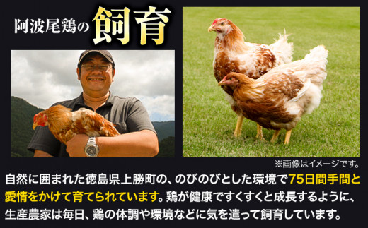 阿波尾鶏 骨付き もも肉 3本入り × 2パック 計2kg 岸農園  《30日以内に出荷予定(土日祝除く)》｜ 鶏肉 もも肉 骨付鳥 阿波尾鶏 地鶏 ローストチキン チキンレッグ アウトドア キャンプ 冷凍 もも 肉 送料無料