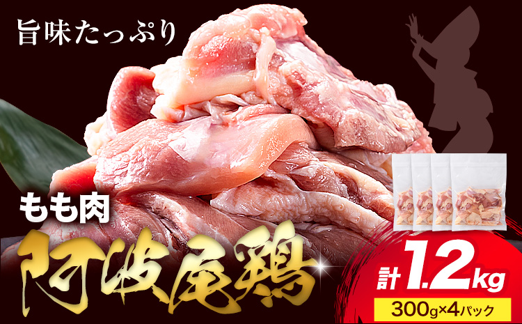 阿波尾鶏 冷凍 もも肉 300g×4パック 《30日以内に出荷予定(土日祝除く)》| 阿波尾鶏 冷凍 地鶏 小分け 地鶏 もも 鶏肉 もも肉 小分け 鶏肉 鶏もも肉 小分け とりもも もも肉 小分け 地鶏 モモ肉 阿波尾鶏 もも 国産 アウトドア キャンプ バーベキュー 冷凍 もも 肉