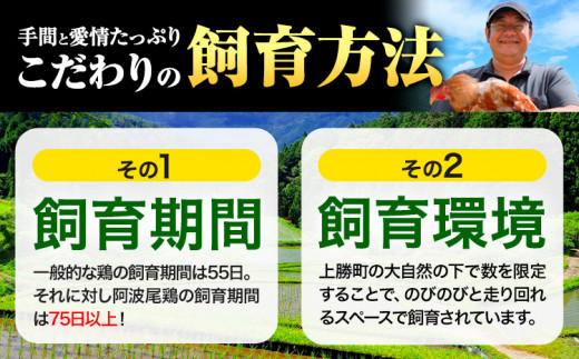 阿波尾鶏 鶏肉 もも肉 500g × 4パック 計2kg 岸農園 《30日以内に出荷予定(土日祝除く)》｜ 鶏肉 もも肉 お肉 鳥肉 とり肉 阿波尾鶏 地鶏 大容量 小分け 国産 徳島県産 唐揚げ から揚げ からあげ アウトドア キャンプ 冷凍 もも 肉 便利 送料無料