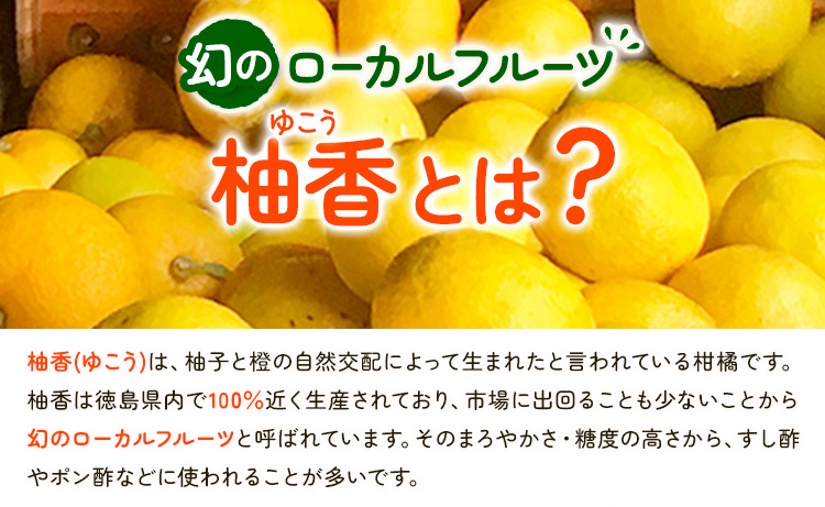 ゆこう丸しぼり 150ml×3本 株式会社阪東食品 《30日以内に出荷予定(土日祝除く)》調味料 柑橘 ゆこう 柚香 瓶 徳島県 上勝町 送料無料