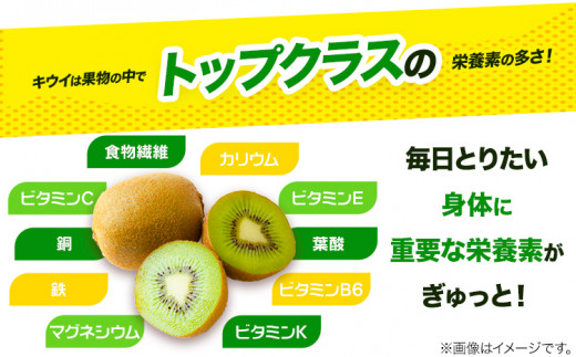 キウイフルーツ 約 3.6kg 約 33玉 JA東とくしま 《1月上旬-3月下旬頃出荷》｜ キウイ キウイフルーツ 果物 フルーツ 徳島県 上勝町 送料無料 常温 便st-p