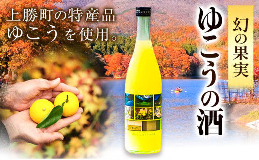 ゆこう の 酒 リキュール 8度 720ml 1本 幻の果実 柚香 株式会社高鉾建設 酒販事業部 《30日以内に出荷予定(土日祝除く)》 徳島県 上勝町 お酒 アルコール 果汁 炭酸割り ロック 国産 ギフト 贈答 送料無料