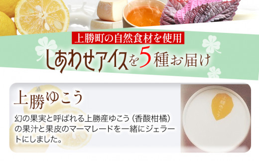 しあわせアイス 5種 セット 計6個 彩食品グループ 《30日以内に出荷予定(土日祝除く)》｜ アイス アイスクリーム ご当地 スイーツ ご当地 アイス 特産品 柑橘 柚香 晩茶 お取り寄せ カップ ジェラート 徳島県 上勝町 送料無料