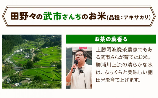 かみかつ棚田未来づくり協議会 米 かみかつの棚田米 武市さんちのお米 アキサカリ レターパック配送 3合《30日以内に出荷予定(土日祝除く)》 徳島県 上勝町 ふるさと納税 送料無料