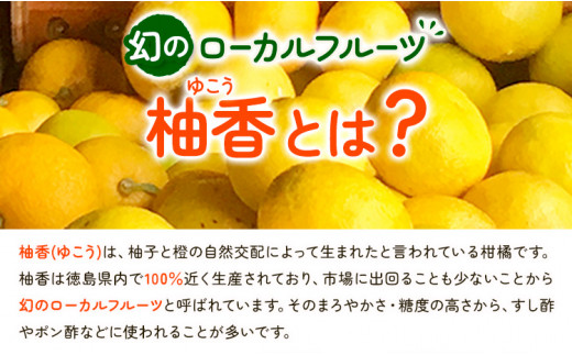 有機ゆこう 果汁 150ml×3本 株式会社阪東食品 《30日以内に出荷予定(土日祝除く)》｜ 有機 調味料 柑橘 ゆこう 柚香 瓶 有機JAS認定 徳島県 上勝町 送料無料