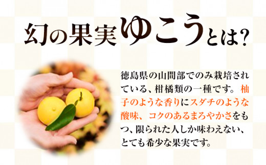 ゆこう の 酒 リキュール 8度 720ml 1本 幻の果実 柚香 株式会社高鉾建設 酒販事業部 《30日以内に出荷予定(土日祝除く)》 徳島県 上勝町 お酒 アルコール 果汁 炭酸割り ロック 国産 ギフト 贈答 送料無料