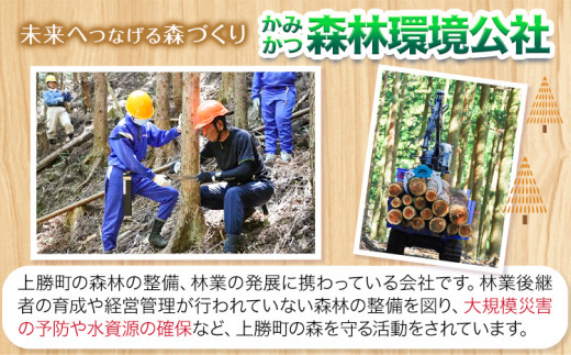 天然木パズル 約400g W270×H225×D13 一般社団法人かみかつ森林環境公社《30日以内に出荷予定(土日祝除く)》 ｜ おもちゃ パズル 知育玩具 インテリア 木製 徳島県産 杉 プレゼント ギフト 誕生日 出産祝い 徳島県 上勝町 送料無料