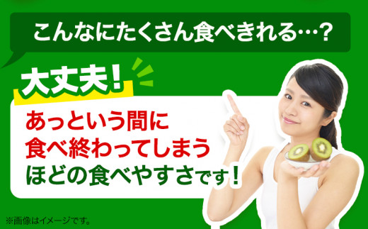 キウイフルーツ 約 3.6kg 約 33玉 JA東とくしま 《1月上旬-3月下旬頃出荷》｜ キウイ キウイフルーツ 果物 フルーツ 徳島県 上勝町 送料無料 常温 便st-p