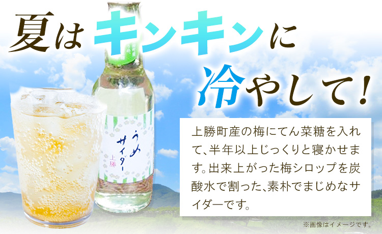 うめサイダー 24本 各250ml 彩食品グループ 《30日以内に出荷予定(土日祝除く)》 徳島県 上勝町 送料無料 梅 うめ サイダー 飲み物 ジュース