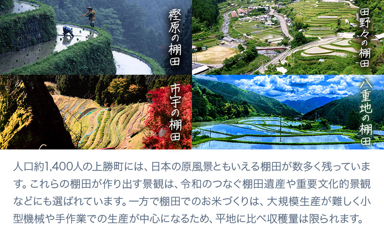 たなだあいす 6個 かみかつ棚田未来づくり協議会 《30日以内に出荷予定(土日祝除く)》 徳島県 上勝町 ふるさと納税