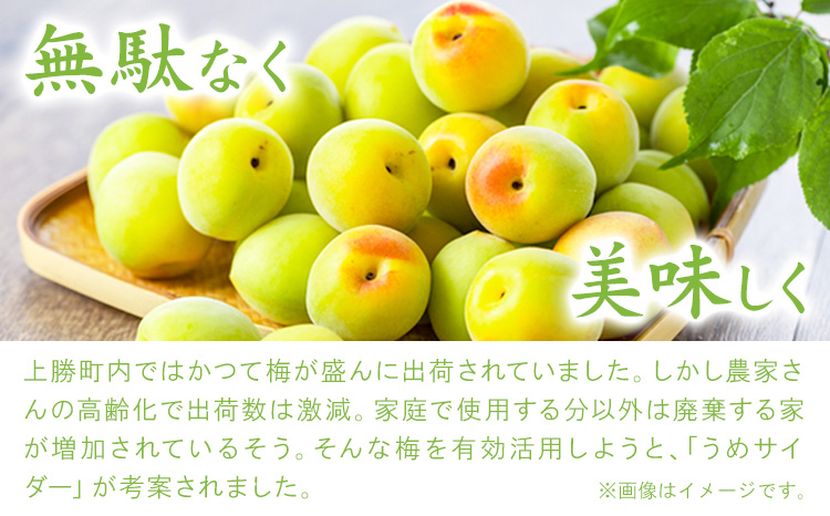 うめサイダー 24本 各250ml 彩食品グループ 《30日以内に出荷予定(土日祝除く)》 徳島県 上勝町 送料無料 梅 うめ サイダー 飲み物 ジュース