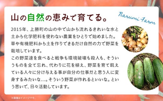 お山の上の マーマレード 3姉妹 3瓶 約250g NARUMIFARM 《30日以内に出荷予定(土日祝除く)》｜ ジャム マーマレード 保存料不使用 オーガニック 有機 柑橘 柚香 柚子 すだち ご当地 ご当地ジャム パン ヨーグルト 肉 徳島県 上勝町 送料無料