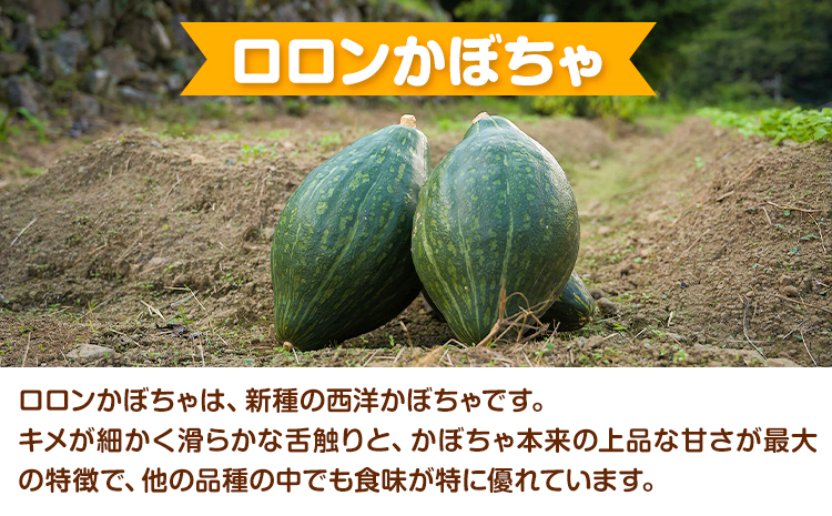 ロロンかぼちゃのズッパ 約900g 約180g × 5パック テロワール 《30日以内に出荷予定（土日祝除く）》スープ ズッパ かぼちゃ スープ カボチャ 南瓜 野菜 やさい 野菜スープ 手作り 常温 レトルト パック 限定 徳島県 上勝町 送料無料