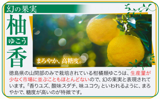 しあわせアイス 5種 セット 計8個 彩食品グループ 《30日以内に出荷予定(土日祝除く)》｜ アイス アイスクリーム ご当地 スイーツ ご当地 アイス 特産品 柑橘 柚香 晩茶 お取り寄せ カップ ジェラート 徳島県 上勝町 送料無料