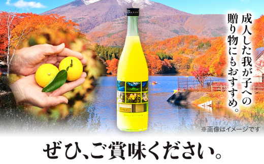 ゆこう の 酒 リキュール 8度 720ml 1本 幻の果実 柚香 株式会社高鉾建設 酒販事業部 《30日以内に出荷予定(土日祝除く)》 徳島県 上勝町 お酒 アルコール 果汁 炭酸割り ロック 国産 ギフト 贈答 送料無料