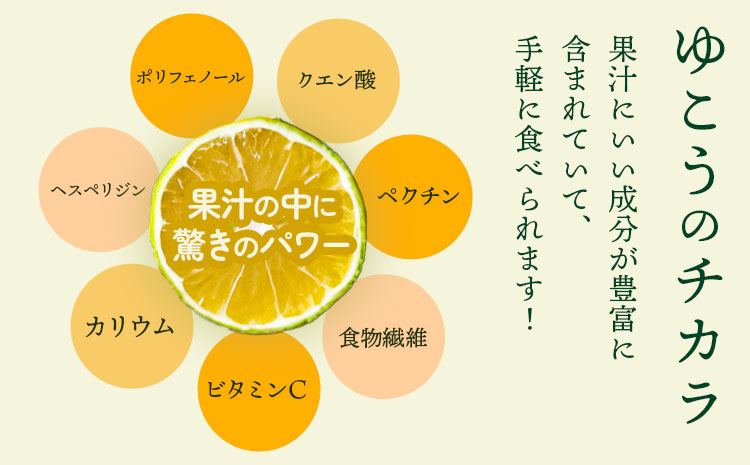 幻の果実ゆこう 柚香果実 約2.5kg～3kg テロワール《2024年10月下旬から出荷(土日祝除く)》 徳島県 上勝町 柚香 柑橘 柚子 ユズ 無農薬 無化学肥料 果物