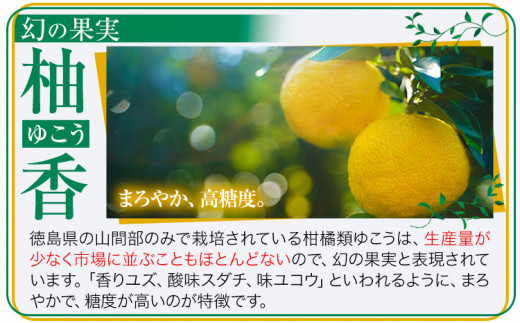 しあわせアイス 5種 セット 計6個 彩食品グループ 《30日以内に出荷予定(土日祝除く)》｜ アイス アイスクリーム ご当地 スイーツ ご当地 アイス 特産品 柑橘 柚香 晩茶 お取り寄せ カップ ジェラート 徳島県 上勝町 送料無料