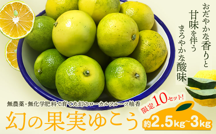 幻の果実ゆこう 柚香果実 約2.5kg～3kg テロワール《2024年10月下旬から出荷(土日祝除く)》 徳島県 上勝町 柚香 柑橘 柚子 ユズ 無農薬 無化学肥料 果物