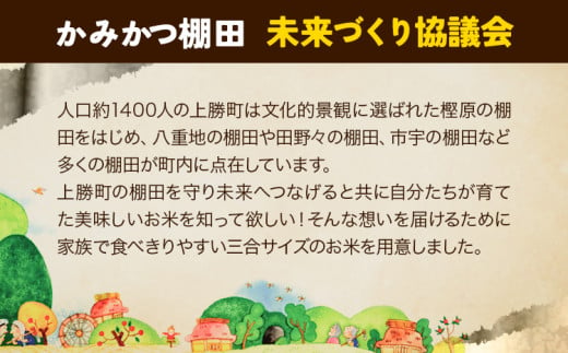 かみかつ棚田未来づくり協議会 米 かみかつの棚田米 武市さんちのお米 アキサカリ レターパック配送 3合《30日以内に出荷予定(土日祝除く)》 徳島県 上勝町 ふるさと納税 送料無料