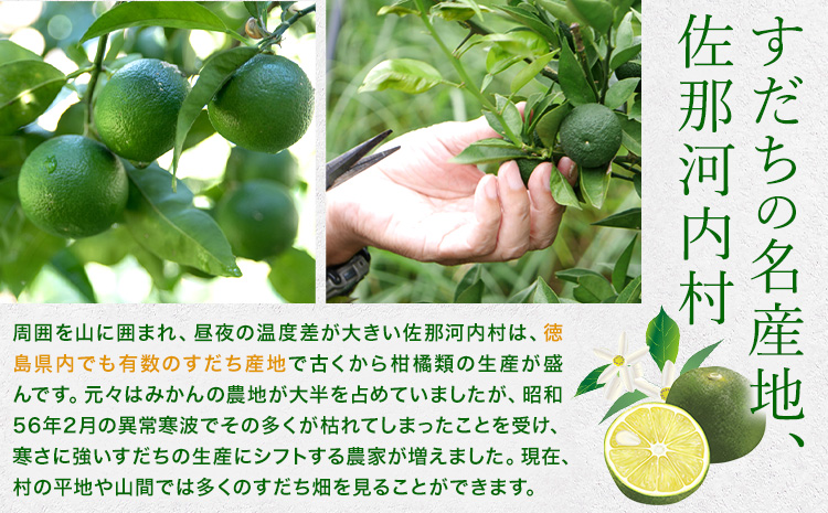 爽快！ 100% すだち 果汁 2000ml JA徳島市農産工場《30日以内に出荷予定(土日祝除く)》徳島県 佐那河内村 徳島県産 すだち 鍋料理 魚 寿司 すし スダチ すだち 焼酎 豆腐 肉 調味料