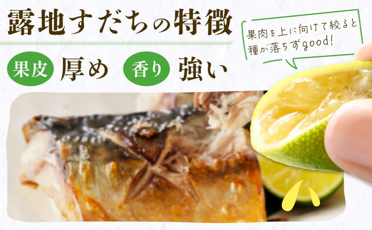 生産量日本一徳島県よりお届け！ すだち 約1kg 一般財団法人さなごうち 《8月中旬-9月下旬頃に出荷予定(土日祝除く)》 徳島 すだち スダチ 露地 魚 豆腐 冷奴 焼き魚 天ぷら 刺身 徳島県 佐那河内村