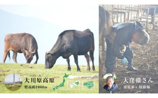 ã幎é10é ïŒã倧å·åé«åç ç¹éžããŒã¹ã¹ããŒã 250gÃ2æ èš500g å·å䟿 èã®è€å ã60æ¥ä»¥å
ã«åºè·äºå®(忥ç¥é€ã)ãåç åžå° 倧å·åé«å çè çŒè ããŒã¹ çè ã¹ããŒã èŽ
æ²¢ ããŒããã¥ãŒ BBQ ãã£ã³ã3 ã®ãã èŽç 埳島ç äœé£æ²³å
æ s-24