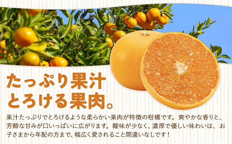 ハウス追熟 天草オレンジ 10玉〜15玉入 廣畠農園《1月中旬頃出荷予定》徳島県 佐那河内村 みかん ミカン 蜜柑 柑橘 フルーツ 果物 くだもの【配送不可地域あり】※離島