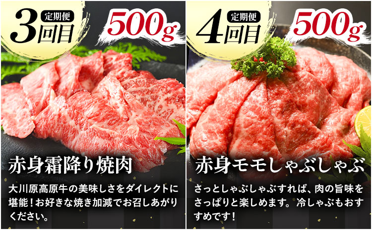 【年間10頭！】《定期便》全4回お届け！大川原高原牛　赤身(スライス・切り落とし・焼肉・しゃぶしゃぶ 各500gずつ) 株式会社肉の藤原 《お申込み月の翌月から出荷開始》牛肉 定期便 月1回 徳島県 佐那河内村５ s-22