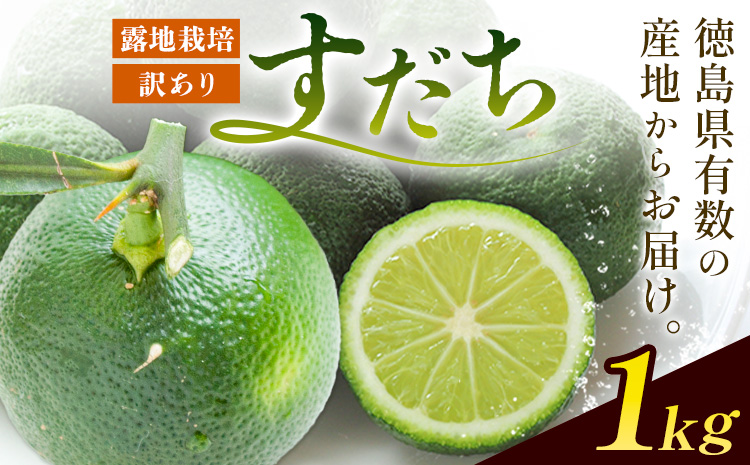 ïŒ2026幎äºçŽåä»ïŒ çç£éæ¥æ¬äž!! ã¡ãã£ãšããºã§ãéŠãã¯æºç¹ 埳島çç£ èš³ãããã ã¡ 1kgã9æäžæ¬-9ææ«é ã«åºè·äºå®(忥ç¥é€ã)ã埳島ç äœé£æ²³å
æ ãã ã¡ ãµã€ãºäžæã BçŽãã ã¡ ãã ã¡ ããºãã ãã ã¡ äžæã