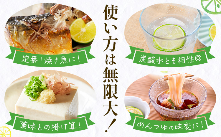 ＜ 先行予約 ＞ 生産量日本一 徳島県産 ハウスすだち 1kg 《2026年6月中旬-8月上旬頃に出荷予定(土日祝除く)》徳島 すだち スダチ 露地 魚 豆腐 冷奴 焼き魚 天ぷら 刺身 徳島県 佐那河内村 