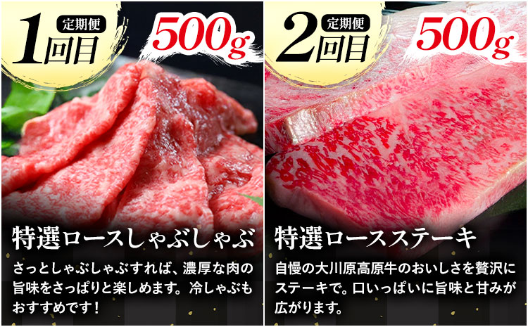 【年間10頭！】《定期便》全4回お届け！大川原高原牛 特選ロース(しゃぶしゃぶ・ステーキ・焼肉・スライス 各500gずつ) 株式会社肉の藤原 《お申込み月翌月から出荷開始》牛肉 定期便 月1回 徳島県 佐那河内村 s-23