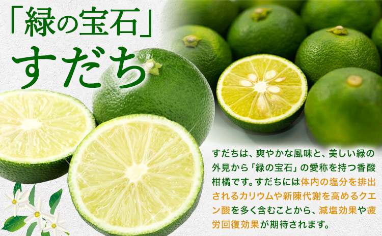 爽快！ 100% すだち 果汁 2000ml JA徳島市農産工場《30日以内に出荷予定(土日祝除く)》徳島県 佐那河内村 徳島県産 すだち 鍋料理 魚 寿司 すし スダチ すだち 焼酎 豆腐 肉 調味料