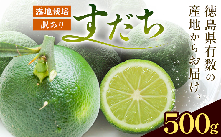 ïŒ2026幎äºçŽåä»ïŒ çç£éæ¥æ¬äž!! ã¡ãã£ãšããºã§ãéŠãã¯æºç¹ 埳島çç£ èš³ãããã ã¡ 500gã9æäžæ¬-9ææ«é ã«åºè·äºå®(忥ç¥é€ã)ã埳島ç äœé£æ²³å
æ ãã ã¡ ãµã€ãºäžæã BçŽãã ã¡ ãã ã¡ ããºãã ãã ã¡ äžæã