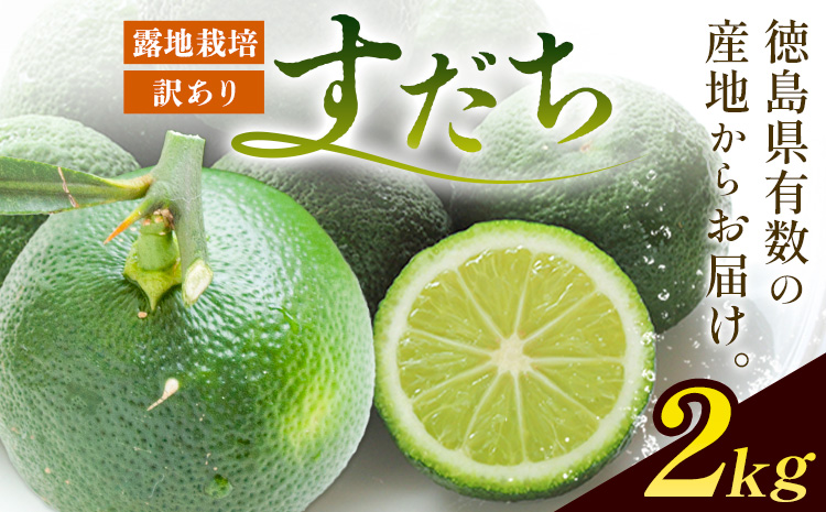 ïŒ2026幎äºçŽåä»ïŒ çç£éæ¥æ¬äž!! ã¡ãã£ãšããºã§ãéŠãã¯æºç¹ 埳島çç£ èš³ãããã ã¡ 2kg ã9æäžæ¬-9ææ«é ã«åºè·äºå®(忥ç¥é€ã)ã埳島ç äœé£æ²³å
æ ãã ã¡ ãµã€ãºäžæã BçŽãã ã¡ ãã ã¡ ããºãã ãã ã¡ äžæã