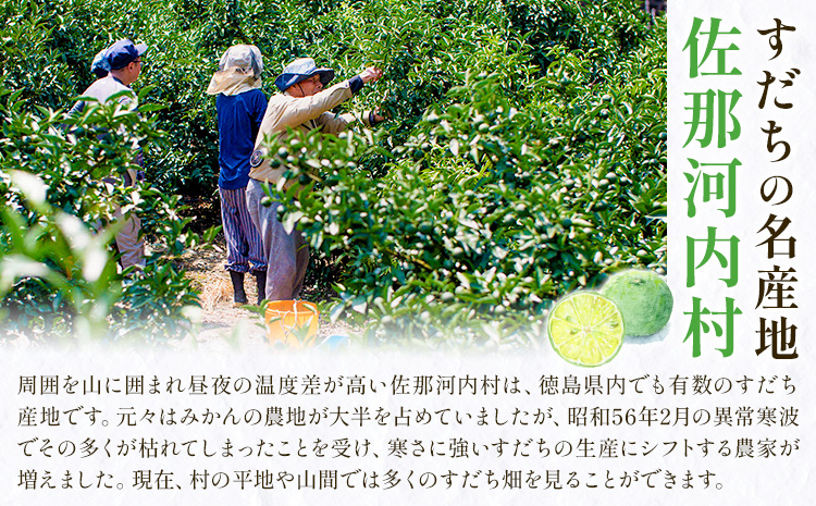 生産量日本一徳島県よりお届け！ すだち 約1kg 一般財団法人さなごうち 《8月中旬-9月下旬頃に出荷予定(土日祝除く)》 徳島 すだち スダチ 露地 魚 豆腐 冷奴 焼き魚 天ぷら 刺身 徳島県 佐那河内村