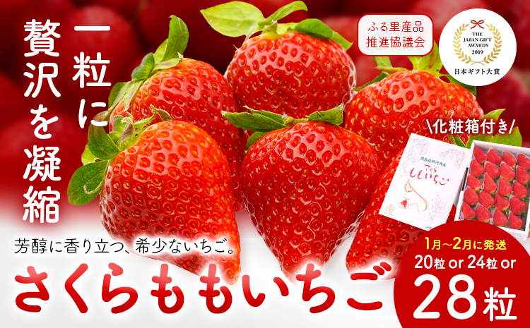 いちご 佐那河内村限定 さくらももいちご 20粒  24粒 28粒  化粧箱 JA徳島市佐那河内支所 ふる里産品推進協議会《1月上旬頃から2月末頃に出荷》徳島県 佐那河内村【配送不可地域あり】※離島 | ブランドいちご 産地直送 ギフト大賞 ジューシー s-3