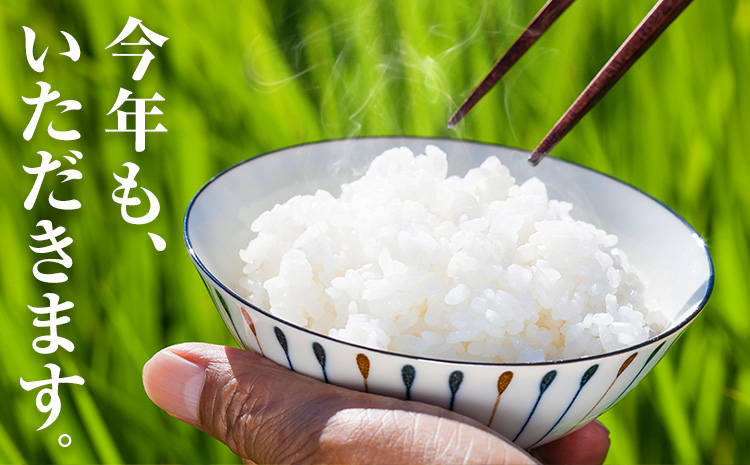 《年内出荷対応》清流と寒暖差が生む村自慢の棚田米 精米 5kg《7-14営業日以内に出荷》徳島県 佐那河内村 お米 米 白米 送料無料 