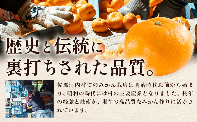 èš³ãã çæã¿ãã 4.5kg ã1æäžæ¬-3æäžæ¬é åºè·ã埳島 ææ© ãã«ã³ èæ ãã«ãŒã éæç© 埳島ç äœé£æ²³å
æ