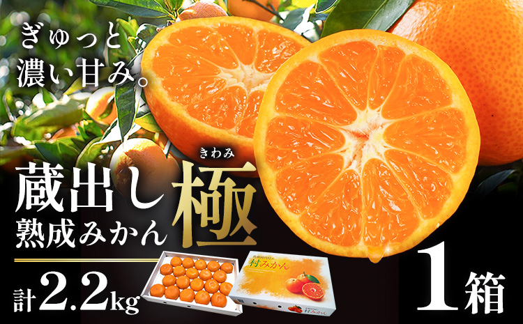 [先行予約] 蔵出し熟成みかん『極』1箱[2月中旬-2月下旬頃出荷]みかん ミカン 蜜柑 mikan 貯蔵 柑橘 佐那河内 さなごうち 徳島県 箱入り 化粧箱 S M L フルーツ 果物 くだもの 贈答 進物