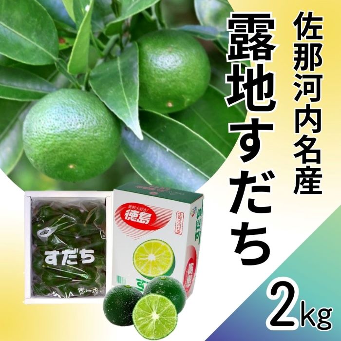 佐那河内名産！露地すだち　2kg　※2024年8月下旬頃から発送　※離島不可