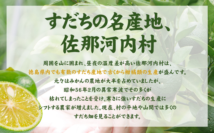 縺吶□縺。繝ッ繧、繝ウ繧ケ繝励Μ繝繝繧。繝シ 250mlテ12譛ャ蜈・繧 1繧ア繝シ繧ケ 荳闊ャ雋。蝗」豕穂ココ縺輔↑縺斐≧縺。 縲30譌・莉・蜀縺ォ蜃コ闕キ莠亥ョ(蝨滓律逾晞勁縺)縲銀狽 縺吶□縺。 繧ケ繝繝 繝ッ繧、繝ウ 繝ッ繧、繝ウ繧ケ繝励Μ繝繝繧。繝シ 縺企 驟 縺泌ス灘慍鬟イ譁 蠕ウ蟲カ逵 菴宣ぅ豐ウ蜀譚