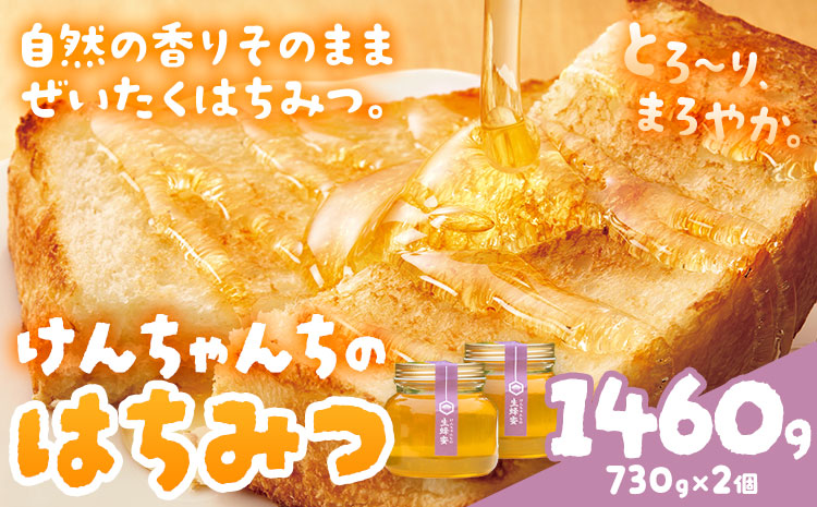 けんちゃんちの国産蜂蜜 730g×2個《30日以内に出荷予定（土日祝除く）》| ふるさと納税 はちみつ ハチミツ 蜂蜜 国産蜂蜜 天然蜜蜂 徳島県 佐那河内村 送料無料