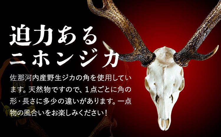 ããã³ãžã«é 骚ä»ãè§ã壿ã å° ãé
éäžå¯å°åãããâ»é¢å³¶ äžé浩å£ã90æ¥ä»¥å
ã«åºè·äºå®(忥ç¥é€ã)ã| ã€ã³ããªã¢ 鹿 è§ ã€ã® ãªããžã§ 食ã ã€ã³ããªã¢ è£
食 埳島ç äœé£æ²³å
æ