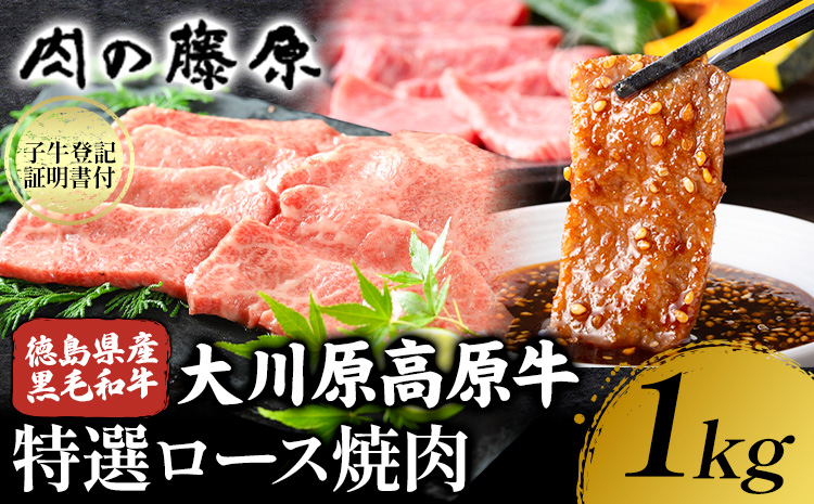 大川原高原牛 特選ロース 焼肉 1kg 冷凍便 肉の藤原《30日以内に出荷予定(土日祝除く)》和牛 希少 大川原高原 牛肉 焼肉 ロース 贅沢 バーベキュー BBQ キャンプ ギフト 贈答 徳島県 佐那河内村st-p