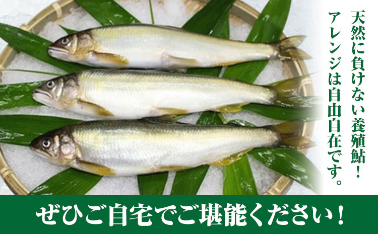 縺吶□縺。魄 12蟆セ 蜀キ蜃 譛蛾剞莨夂、セ蟯ゥ蟠主膚蠎 縲30譌・莉・蜀縺ォ蜃コ闕キ莠亥ョ(蝨滓律逾晞勁縺)縲銀狽1蟆セ縺ゅ◆繧20ス25cm 蠕ウ蟲カ逵檎肇 縺ゅf 繧「繝ヲ 鬲 鬲壻サ 蟾晞ュ 蝪ゥ辟シ縺 逕倬愆辣ョ 蠕ウ蟲カ逵 菴宣ぅ豐ウ蜀譚